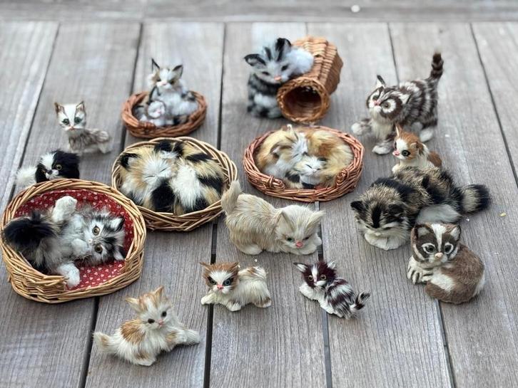 poezen in bont, Antiek en Kunst, Curiosa en Brocante, Ophalen of Verzenden