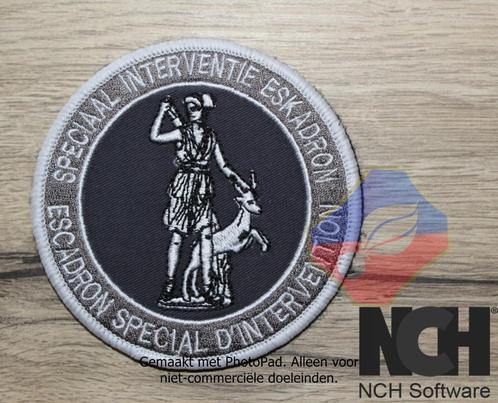 RIJKSWACHT SIE ESI BADGE + DISPLAY, Verzamelen, Militaria | Algemeen, Rijkswacht, Embleem of Badge, Verzenden