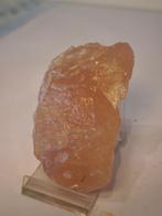 Stenen, Mineralen, Enlèvement, Fossile