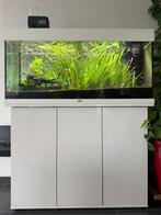 Aquarium Juwel Rio 180 LED + meuble et accessoires, Dieren en Toebehoren, Ophalen, Gebruikt, Gevuld zoetwateraquarium