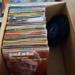 Célibataires, néerlandais - locuteurs non natifs, principale, CD & DVD, Vinyles Singles, Enlèvement ou Envoi, En néerlandais