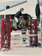Superlieve en betrouwbare C pony 17 jaar, Dieren en Toebehoren, Pony's, B, Springpony, C pony (1.27m tot 1.37m), 11 jaar of ouder