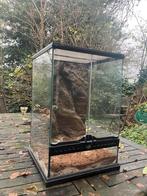 Terrarium 45x30x30 exo-terra, Ophalen, Zo goed als nieuw