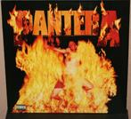 Lp - Pantera - Reinventing The Steel, Ophalen of Verzenden, Gebruikt