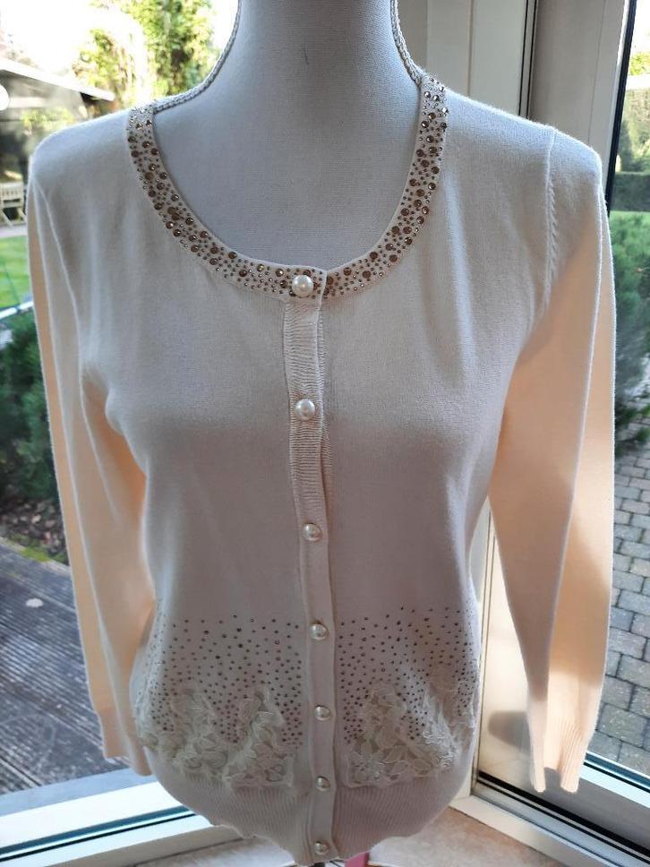 Charmant vestje NATHALIE VLEESCHOUWER - S, Kleding | Dames, Truien en Vesten, Zo goed als nieuw, Maat 36 (S), Beige, Ophalen of Verzenden