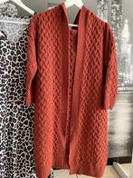 Pull trui cardigan 42 dames - GRATIS kleedje luipaardprint, Verzenden, Zo goed als nieuw, Maat 42/44 (L), Bruin