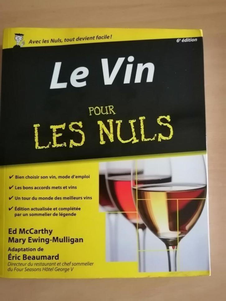 Le vin pour les nuls, Boeken, Hobby en Vrije tijd, Zo goed als nieuw, Ophalen of Verzenden