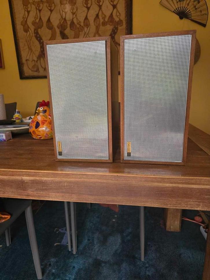 Celestion Ditton 10, Muziek en Instrumenten, Versterkers | Keyboard, Monitor en PA, Ophalen