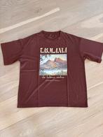 T-shirt Shein, Ophalen of Verzenden, Gedragen, Maat 36 (S)