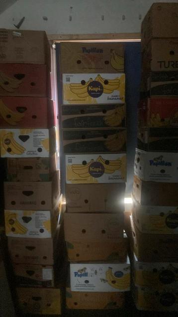 Bananendozen 50 stuks leeg beschikbaar voor biedingen