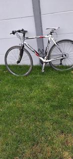 Cross fiets  Ridley  kader maat  52, Ophalen