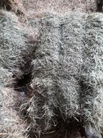 hooi, Dieren en Toebehoren, Ophalen