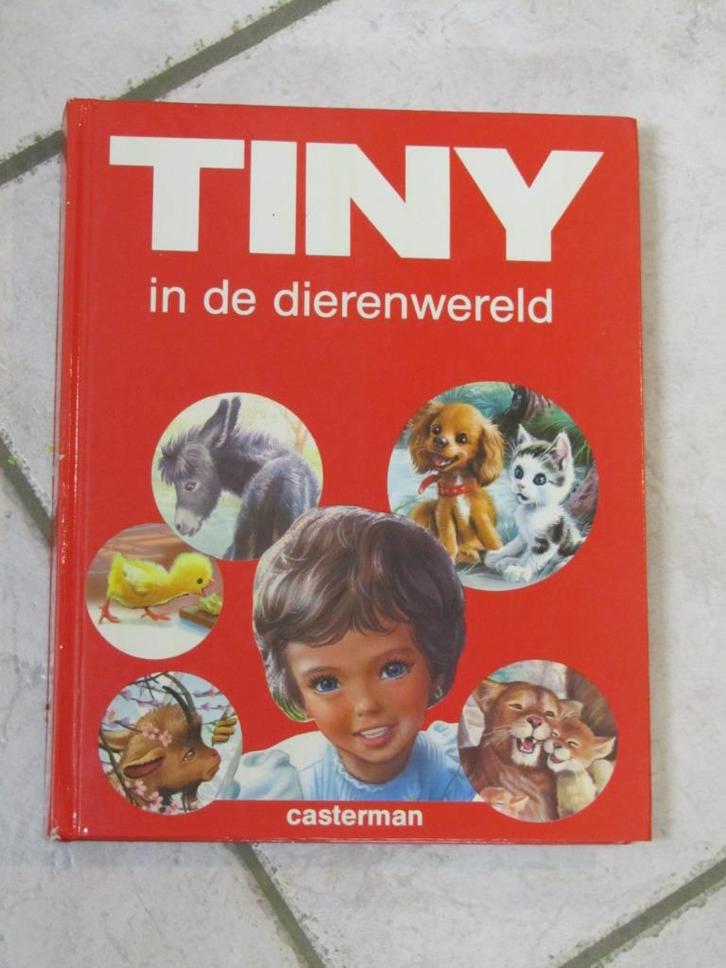 17 Tiny boeken, Boeken, Kinderboeken | Jeugd | 10 tot 12 jaar, Gelezen, Ophalen of Verzenden