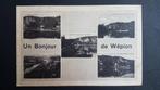 Un bonour de Wépion, Verzamelen, Postkaarten | België, Ophalen of Verzenden, 1940 tot 1960, Gelopen, Namen