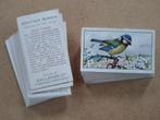 British Birds complete set 48 chromos 1937 vogels, Nature, Avant 1940, Enlèvement ou Envoi