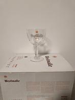Westmalle trappist bier glazen 1 pak (6 stuks), Verzamelen, Glas en Drinkglazen, Ophalen