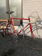 Eddy Merckx, Vélos & Vélomoteurs, Enlèvement, Comme neuf