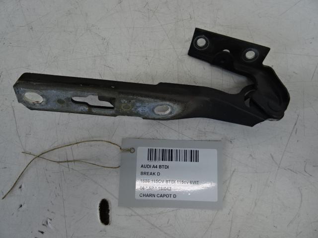 CHARNIERE DE CAPOT DROIT Audi A4 Avant (B7), Autos : Pièces & Accessoires, Autres pièces automobiles, Audi, Utilisé