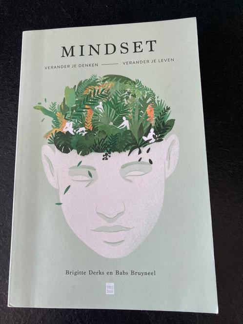 Mindset - Brigitte Derks, Boeken, Psychologie, Zo goed als nieuw, Ophalen of Verzenden