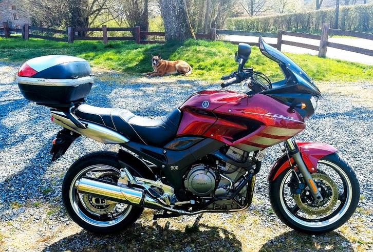 Yamaha 900 TDM te koop in Perfecte staat  !!!, Motoren, Motoren | Yamaha, Particulier, Toermotor, meer dan 35 kW, 2 cilinders