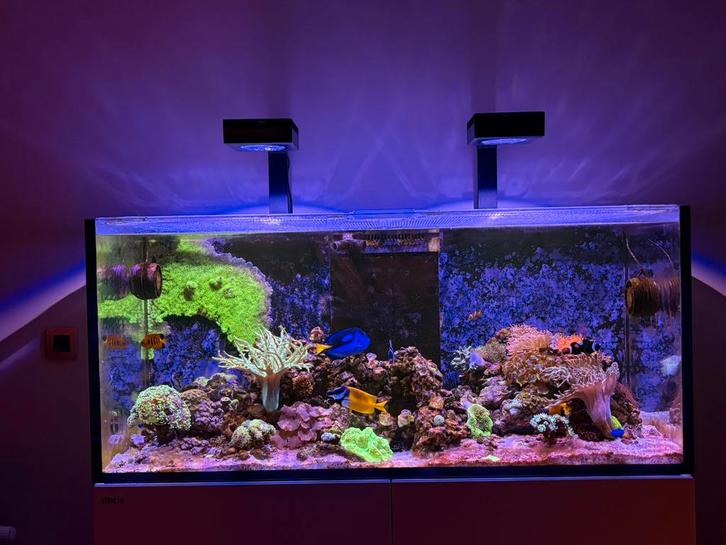 Zee aquarium Red sea reefer 350, Dieren en Toebehoren, Vissen | Aquaria en Toebehoren, Zo goed als nieuw, Ophalen