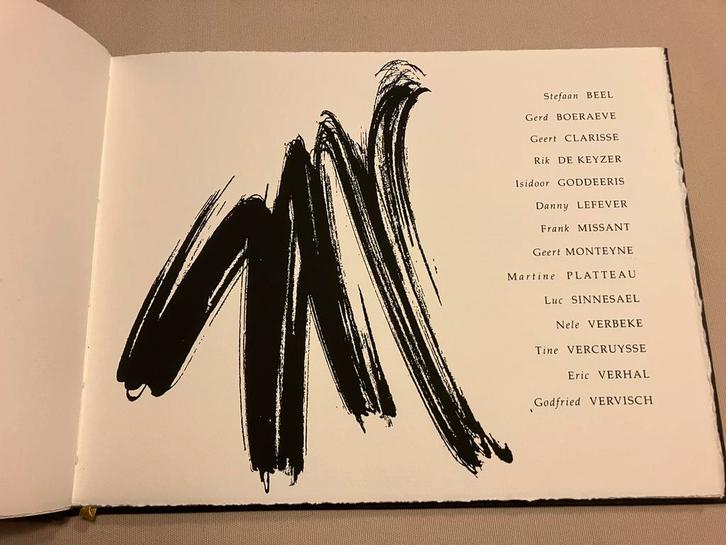 Geert Vanallemeersch nr 58/100 Rik De Keyzer Geert Clarisse, Livres, Art & Culture | Arts plastiques, Comme neuf, Enlèvement ou Envoi