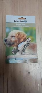 Beeztees puppy halsbandje met looplijn, Dieren en Toebehoren, Ophalen of Verzenden, Nieuw
