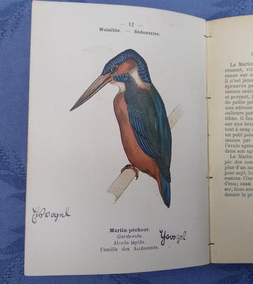 1898: Atlas des Oiseaux. Vogel atlas. 72x litho in kleur. beschikbaar voor biedingen
