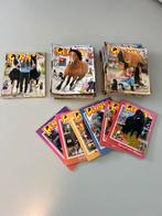 Tijdschriften paarden - Penny's, Ophalen, Gebruikt, Dier