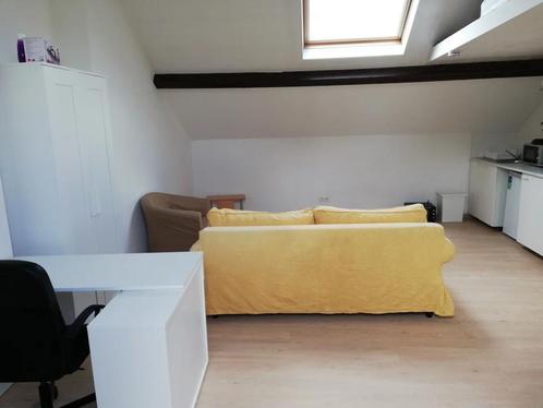 Gerenoveerde en gemeubileerde studio te huur, Immo, Appartementen en Studio's te huur, Brussel, 35 tot 50 m²