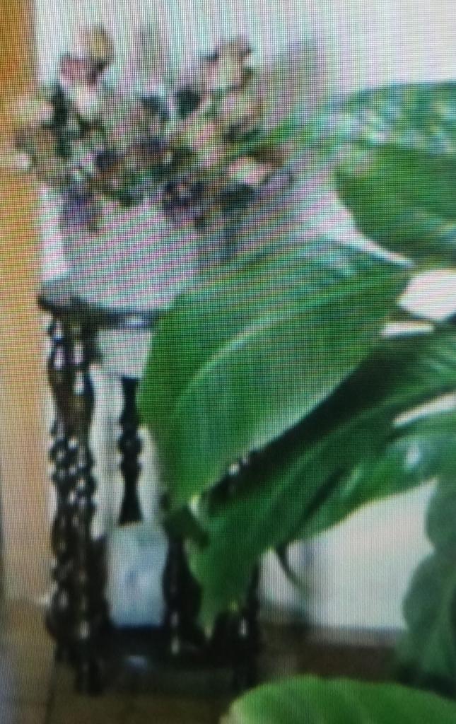 Ancien porte plante en bois, Maison & Meubles, Accessoires pour la Maison | Plantes & Fleurs artificielles, Utilisé, Intérieur