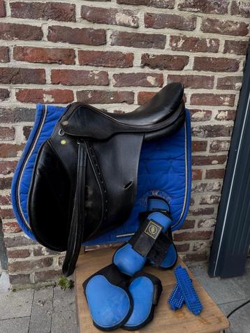Paardenspullen te koop voor kleine prijzen beschikbaar voor biedingen