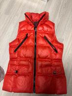 Bodywarmer, Vêtements | Femmes, Blousons sans Manches, ANDERE, Enlèvement ou Envoi, Taille 36 (S), Porté