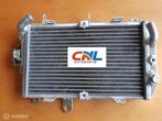 Radiateur Suzuki BURGMAN 650 AN650/AN650Z 2013-2017 radiator, Motoren, Nieuw, Ophalen of Verzenden
