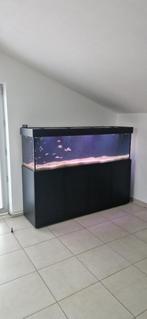 Aquarium Aqualife, Dieren en Toebehoren, Ophalen, Zo goed als nieuw