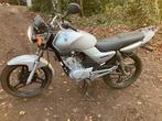 YAMAHA YBR 125, Motos, Entreprise, Permis Moto A1 minimum, Yamaha, 1 cylindre