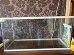 Terrarium, Dieren en Toebehoren, Gebruikt, Overige typen, Hamster, 75 tot 110 cm