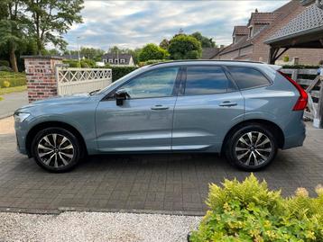 Volvo XC60 plus B4mild hybride MODEL 2024 beschikbaar voor biedingen