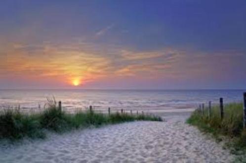 zomerse massage, Diensten en Vakmensen, Welzijn | Masseurs en Massagesalons, Ontspanningsmassage, Overige massages