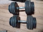 Twee db 40 kg, Sport en Fitness, Fitnessmaterialen, Ophalen