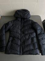 Donkerblauwe jas Cars jeans ALOMI - maat 164, Enfants & Bébés, Vêtements enfant | Taille 164, Enlèvement ou Envoi, Fille, Manteau