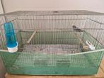 Cages et femelle canaris raza, Dieren en Toebehoren, Ophalen of Verzenden, Zo goed als nieuw