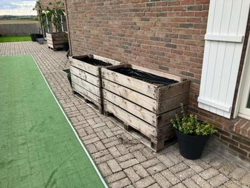 Plantenbakken te koop (prijs per stuk!) beschikbaar voor biedingen