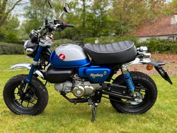 Honda Monkey beschikbaar voor biedingen
