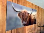 Buffel / plexiglas kader, Ophalen, Zo goed als nieuw