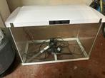 Superfish aquarium 60 liter, Dieren en Toebehoren, Ophalen, Gebruikt, Leeg aquarium