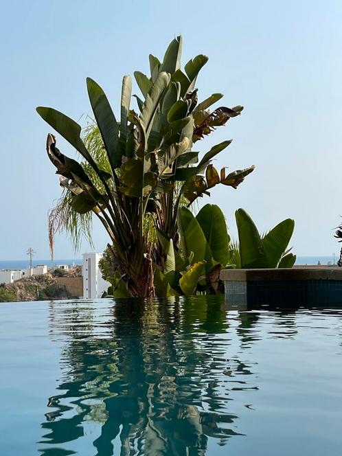 Appartement te Villajoyosa, Costa Blanca, last minut, Vakantie, Vakantiehuizen | Spanje, Costa Blanca, Appartement, Overige, Aan zee