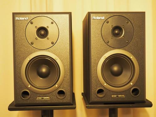 ROLAND DS-50A, Muziek en Instrumenten, Versterkers | Keyboard, Monitor en PA, Gebruikt, Monitor(versterker), Minder dan 500 watt