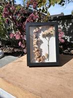 Kader naturel, Ophalen of Verzenden, Nieuw