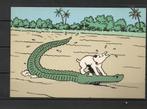 Carte postale : Hergé : Tintin/Kuifje - Tintin au Congo 1993, Collections, Enlèvement